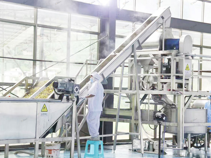 Tomato paste production line