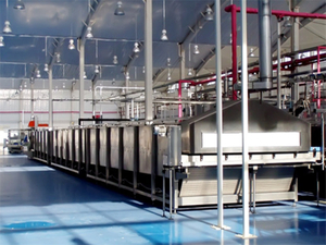 Spray tunnel sterilizer