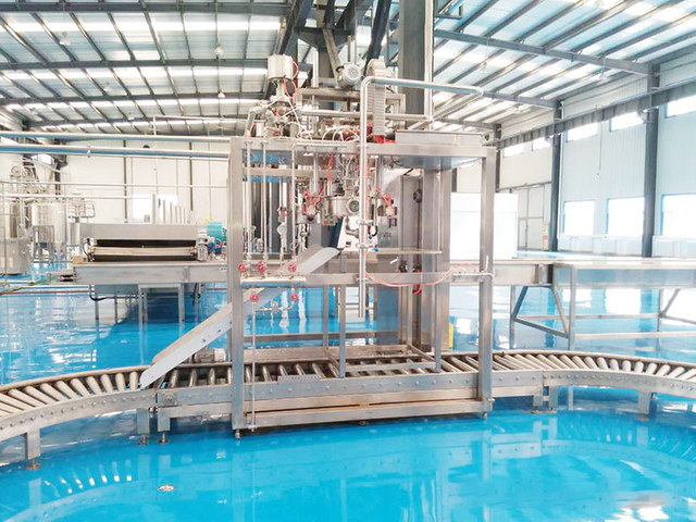 Pineapple Processing Line