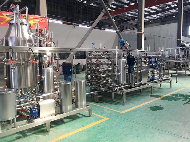 Mango Processing Line