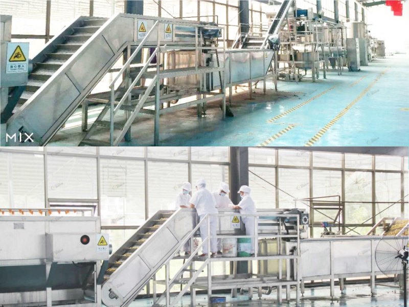 Fresh Tomato Pre-Treatment System.jpg