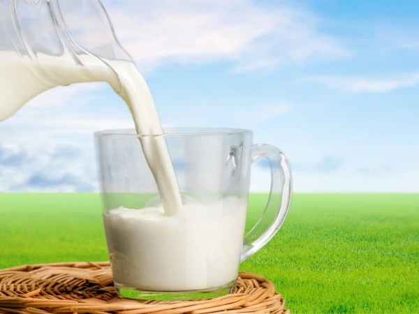 What Are The Advantages And Disadvantages of Ultra-High Temperature (UHT) Milk?